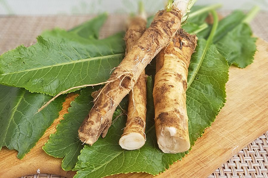 Chrzan: glukozynolany i działanie antybakteryjne